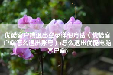 优酷客户端退出登录详细方法（优酷客户端怎么退出账号）(怎么退出优酷电脑客户端)