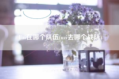 Uzi在哪个队伍(uzi去哪个战队)