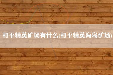和平精英矿场有什么(和平精英海岛矿场)