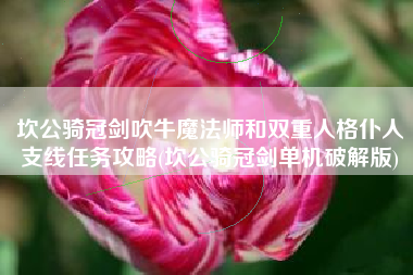 坎公骑冠剑吹牛魔法师和双重人格仆人支线任务攻略(坎公骑冠剑单机破解版)