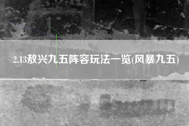 2.13敖兴九五阵容玩法一览(风暴九五)