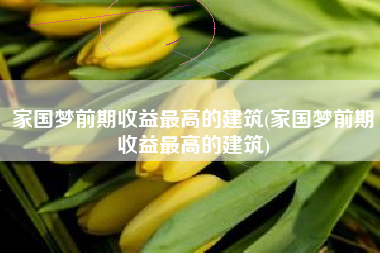 家国梦前期收益最高的建筑(家国梦前期收益最高的建筑)