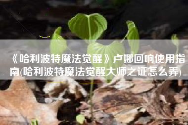 《哈利波特魔法觉醒》卢娜回响使用指南(哈利波特魔法觉醒大师之证怎么弄)
