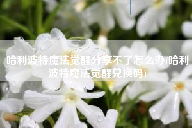 哈利波特魔法觉醒分享不了怎么办(哈利波特魔法觉醒兑换码) 哈利波特魔法觉醒分享不了怎么办(哈利波特魔法觉醒兑换码)