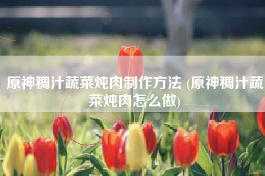 原神稠汁蔬菜炖肉制作方法 (原神稠汁蔬菜炖肉怎么做)