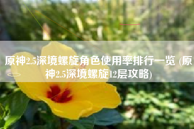 原神2.5深境螺旋角色使用率排行一览 (原神2.5深境螺旋12层攻略)