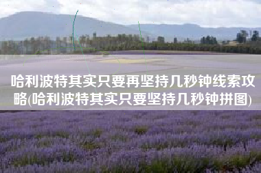 哈利波特其实只要再坚持几秒钟线索攻略(哈利波特其实只要坚持几秒钟拼图)