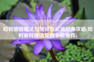 哈利波特魔法觉醒除你武器培养攻略(哈利波特魔法觉醒卡组推荐)