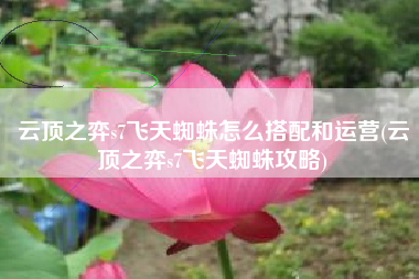 云顶之弈s7飞天蜘蛛怎么搭配和运营(云顶之弈s7飞天蜘蛛攻略)