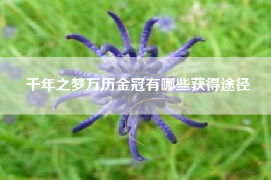 千年之梦万历金冠有哪些获得途径