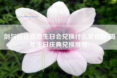 剑与远征感恩生日会兑换什么奖励好(周年生日庆典兑换推荐)