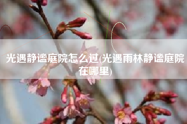 光遇静谧庭院怎么过(光遇雨林静谧庭院在哪里) 光遇静谧庭院怎么过(光遇雨林静谧庭院在哪里)