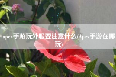 apex手游玩外服要注意什么(Apex手游在哪玩)