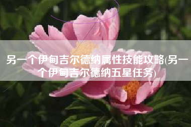 另一个伊甸吉尔德纳属性技能攻略(另一个伊甸吉尔德纳五星任务)
