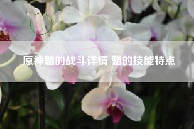 原神魈的战斗详情 魈的技能特点 原神魈的战斗详情 魈的技能特点