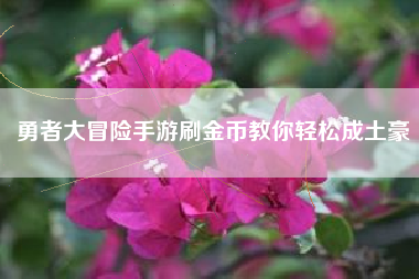 勇者大冒险手游刷金币教你轻松成土豪