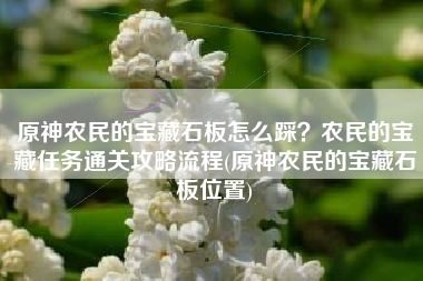 原神农民的宝藏石板怎么踩？农民的宝藏任务通关攻略流程(原神农民的宝藏石板位置)