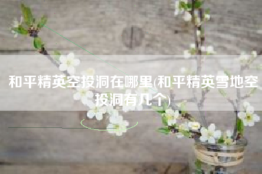 和平精英空投洞在哪里(和平精英雪地空投洞有几个)