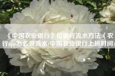 《中国农业银行》拉银行流水方法（农行app怎么查流水(中国农业银行上班时间)