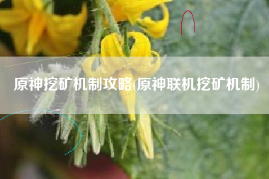 原神挖矿机制攻略(原神联机挖矿机制) 原神挖矿机制攻略(原神联机挖矿机制)