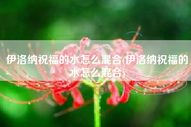 伊洛纳祝福的水怎么混合(伊洛纳祝福的水怎么混合)