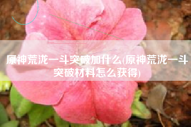 原神荒泷一斗突破加什么(原神荒泷一斗突破材料怎么获得)
