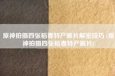 原神拍摄四张稻妻特产画片解密技巧 (原神拍摄四张稻妻特产画片)