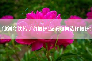 仙剑奇侠传手游援护(应该如何选择援护) 仙剑奇侠传手游援护(应该如何选择援护)