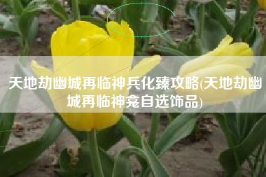 天地劫幽城再临神兵化臻攻略(天地劫幽城再临神龛自选饰品)