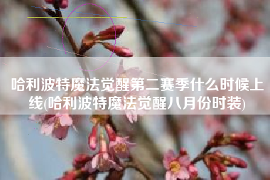 哈利波特魔法觉醒第二赛季什么时候上线(哈利波特魔法觉醒八月份时装)