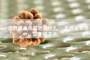 一念逍遥赤色禁地是什么(一念逍遥赤色禁地进不去)