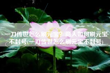 一刀传世怎么刷元宝？商人如何刷元宝不封号(一刀传世怎么刷元宝不封号)