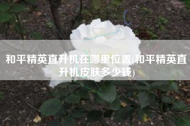 和平精英直升机在哪里位置(和平精英直升机皮肤多少钱)