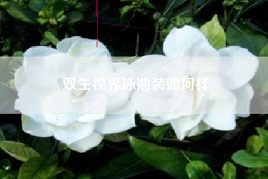 双生视界泳池装如何样