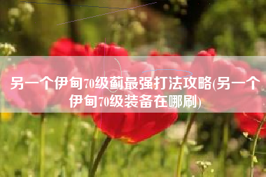另一个伊甸70级蓟最强打法攻略(另一个伊甸70级装备在哪刷)