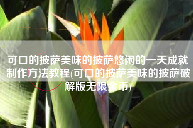 可口的披萨美味的披萨悠闲的一天成就制作方法教程(可口的披萨美味的披萨破解版无限金币)
