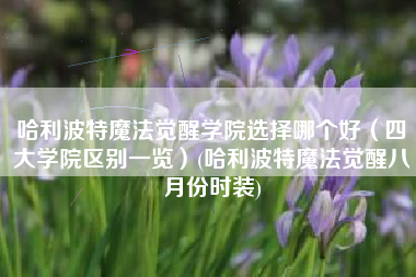 哈利波特魔法觉醒学院选择哪个好（四大学院区别一览）(哈利波特魔法觉醒八月份时装)