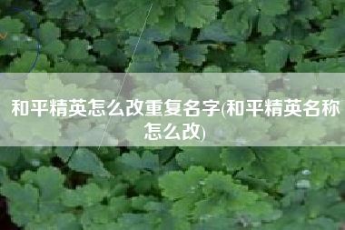 和平精英怎么改重复名字(和平精英名称怎么改)