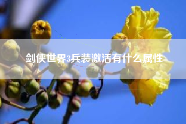 剑侠世界3兵装激活有什么属性