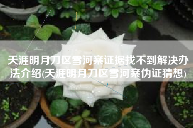 天涯明月刀区雪河案证据找不到解决办法介绍(天涯明月刀区雪河案伪证猜想)