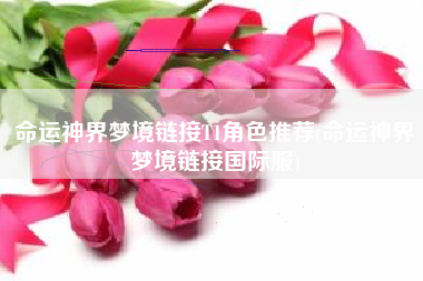 命运神界梦境链接T1角色推荐(命运神界梦境链接国际服)