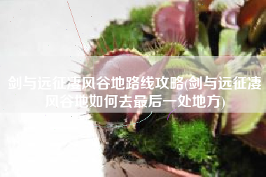 剑与远征凄风谷地路线攻略(剑与远征凄风谷地如何去最后一处地方)