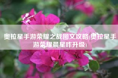 奥拉星手游荣耀之战图文攻略(奥拉星手游荣耀晨星咋升级)