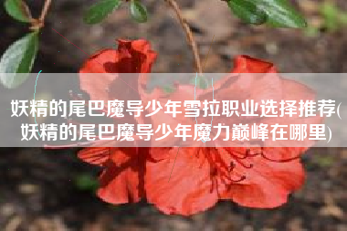 妖精的尾巴魔导少年雪拉职业选择推荐(妖精的尾巴魔导少年魔力巅峰在哪里)