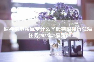 原神雷电将军带什么圣遗物附拔行荒海任务(2022年7最新)