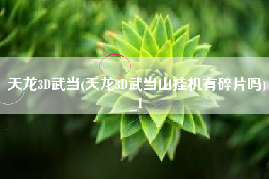 天龙3D武当(天龙3D武当山挂机有碎片吗)_1