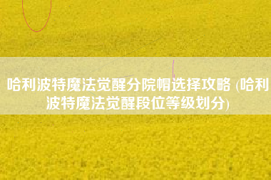 哈利波特魔法觉醒分院帽选择攻略 (哈利波特魔法觉醒段位等级划分)