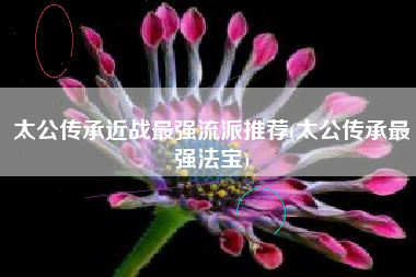 太公传承近战最强流派推荐(太公传承最强法宝)
