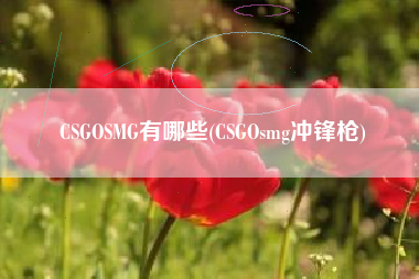 CSGOSMG有哪些(CSGOsmg冲锋枪)