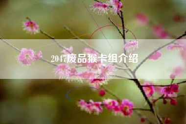 2047废品猴卡组介绍